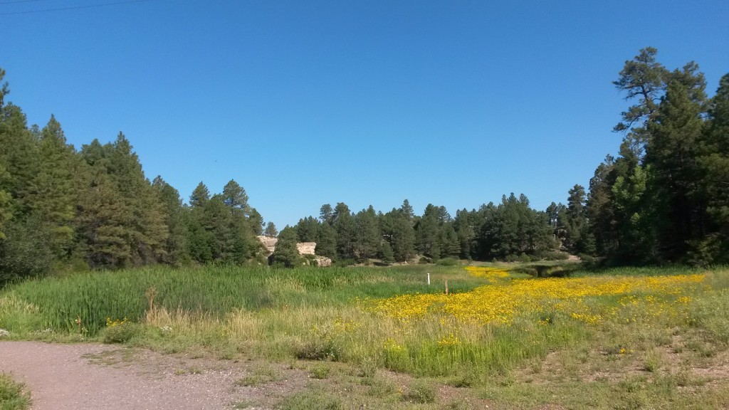 Flagstaff Rated Best Vacation Town to Live in Year Round Flagstaff Places